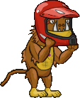 aipster racing helmet