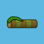 beach tree log