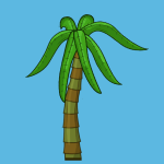 beach tree