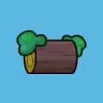 forest tree log