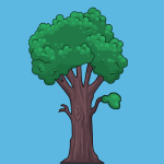 forest tree