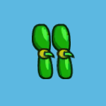 plantie legs