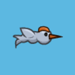 snow fish