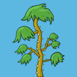 thorn tree